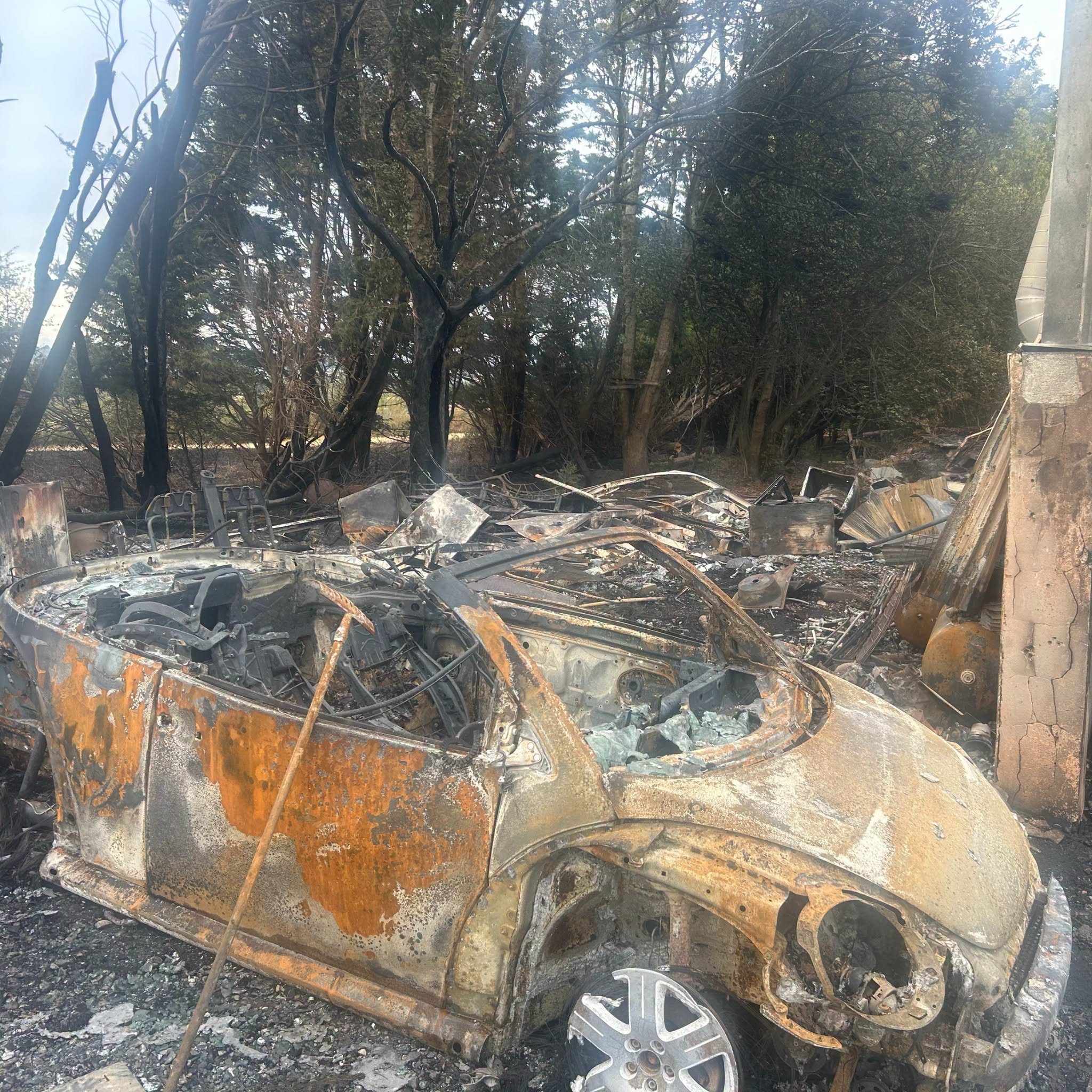Scorched vehicles and trees after the Locking Farm Industrial Estate fire